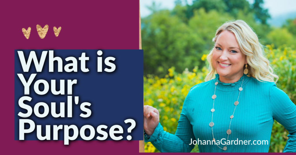 how-do-i-find-my-soul-s-purpose-work-johanna-gardner